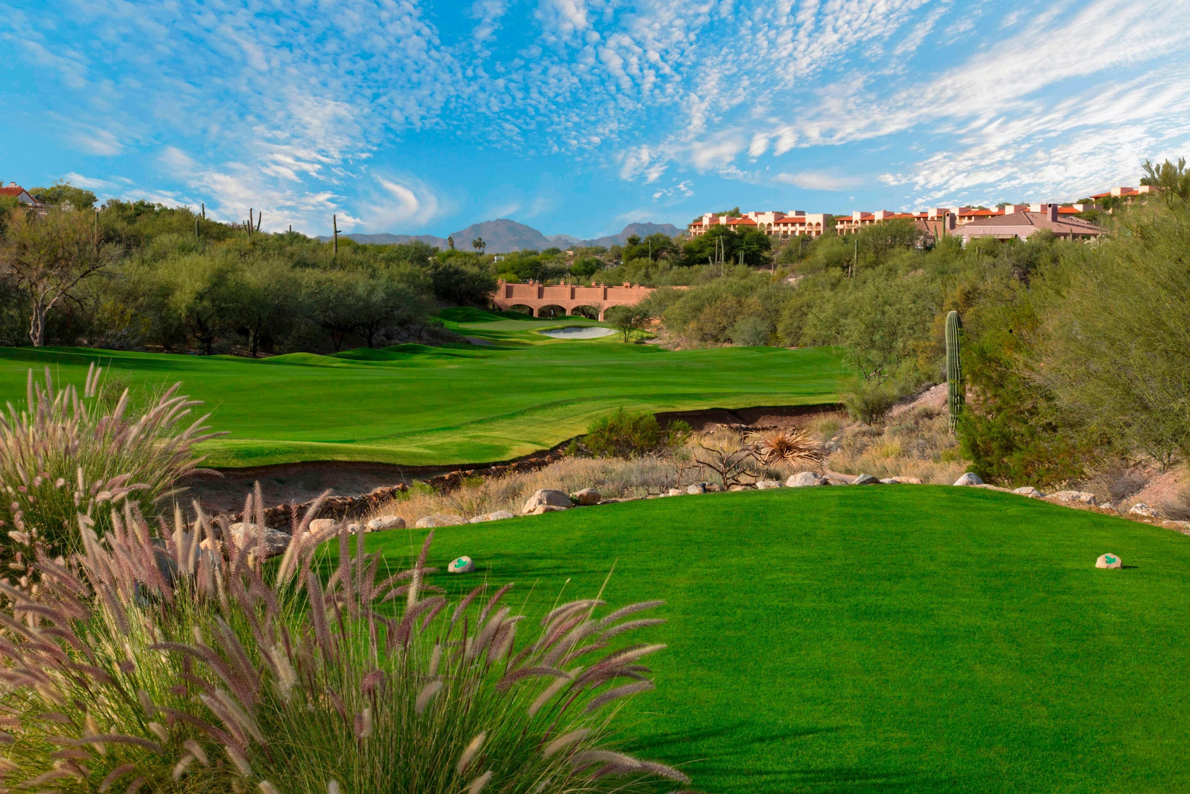 Westin La Paloma Resort And Spa 21/37