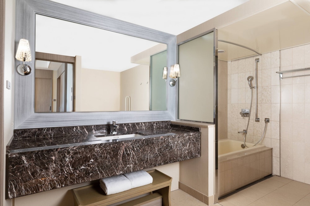 Tokyo Marriott Hotel 18/57