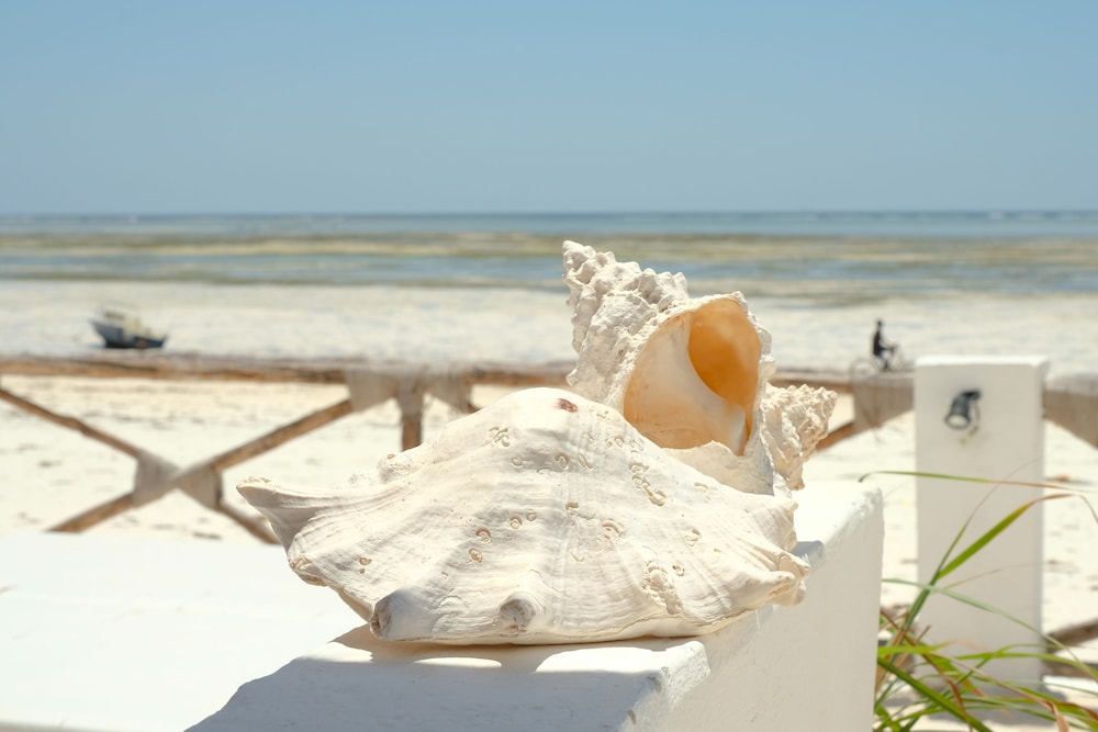 Makuti Beach Bungalows 34/65