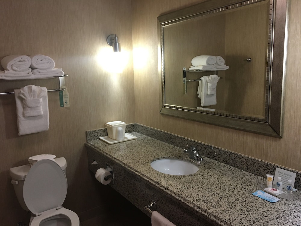 Comfort Suites Hobbs 16/46