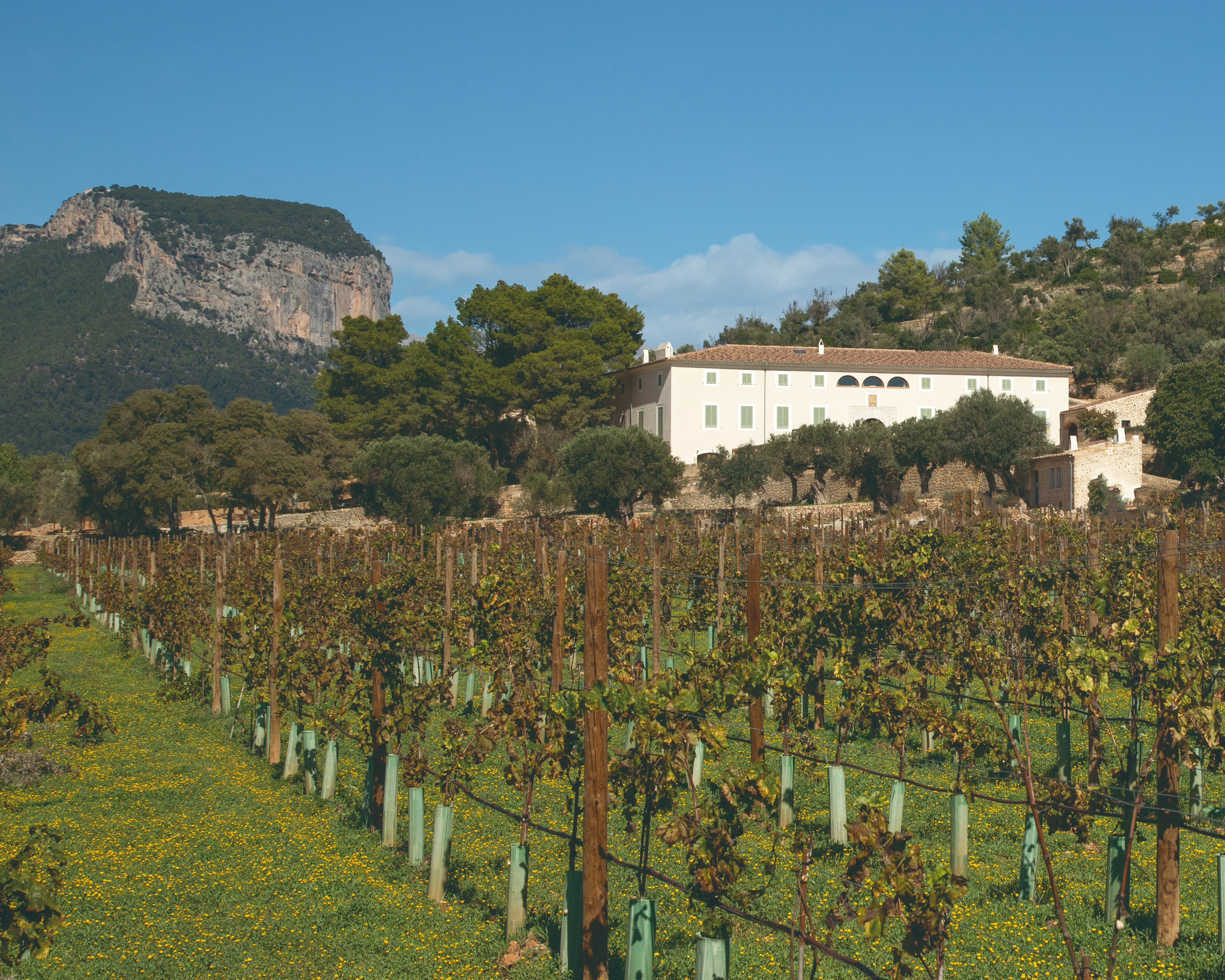 Finca Banyols, Vignette Collection by IHG 17/24