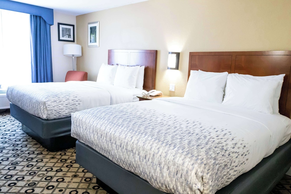 Days Inn by Wyndham College Park Atlanta Airport South 21/59