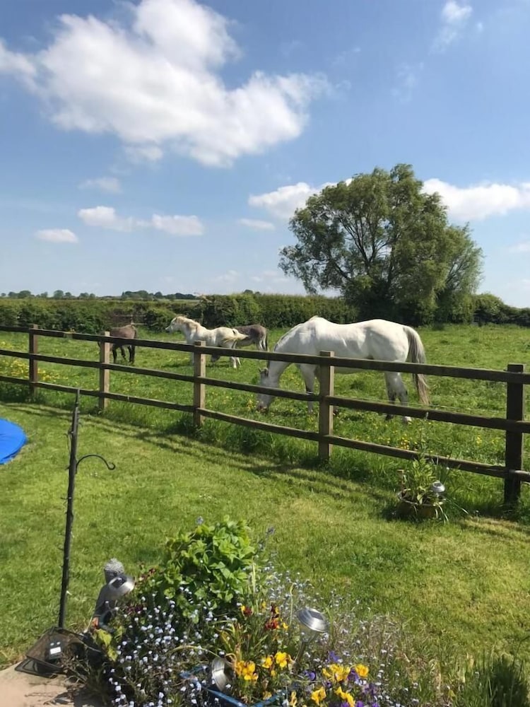 The Paddock At Peacock Farm 13/17