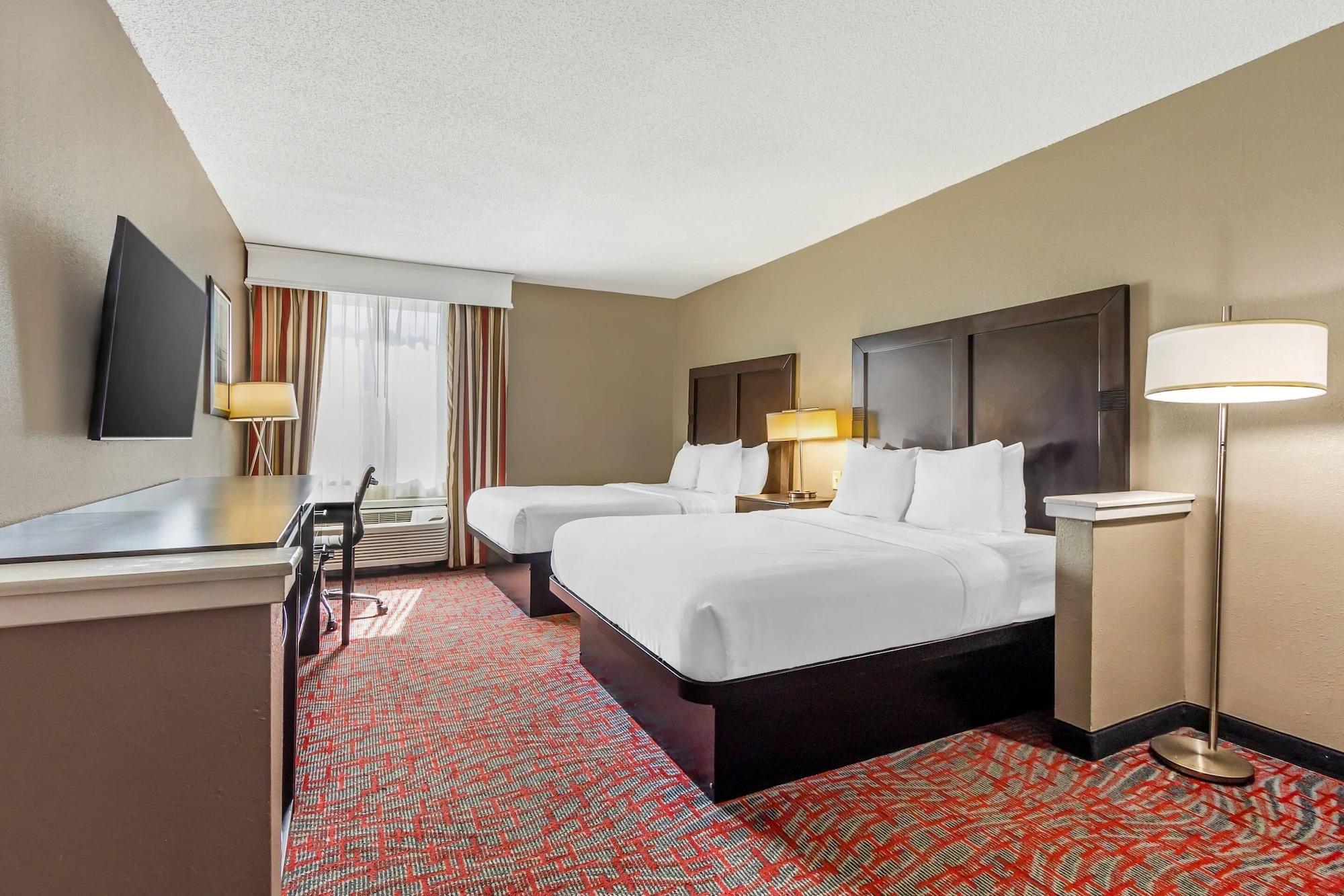 Suite, Multiple Beds