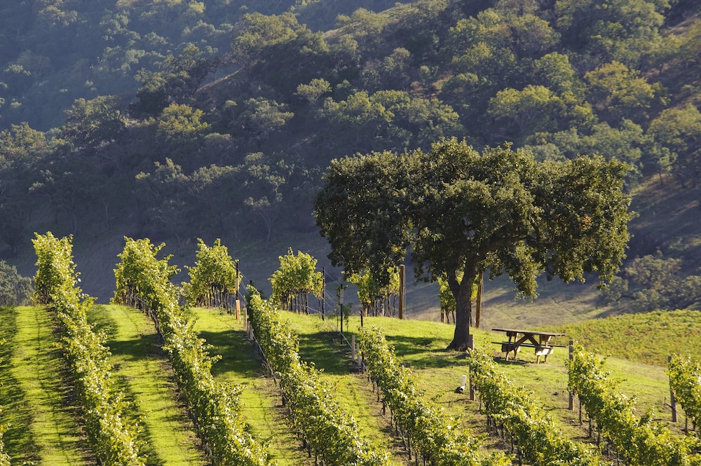 CordeValle 29/67