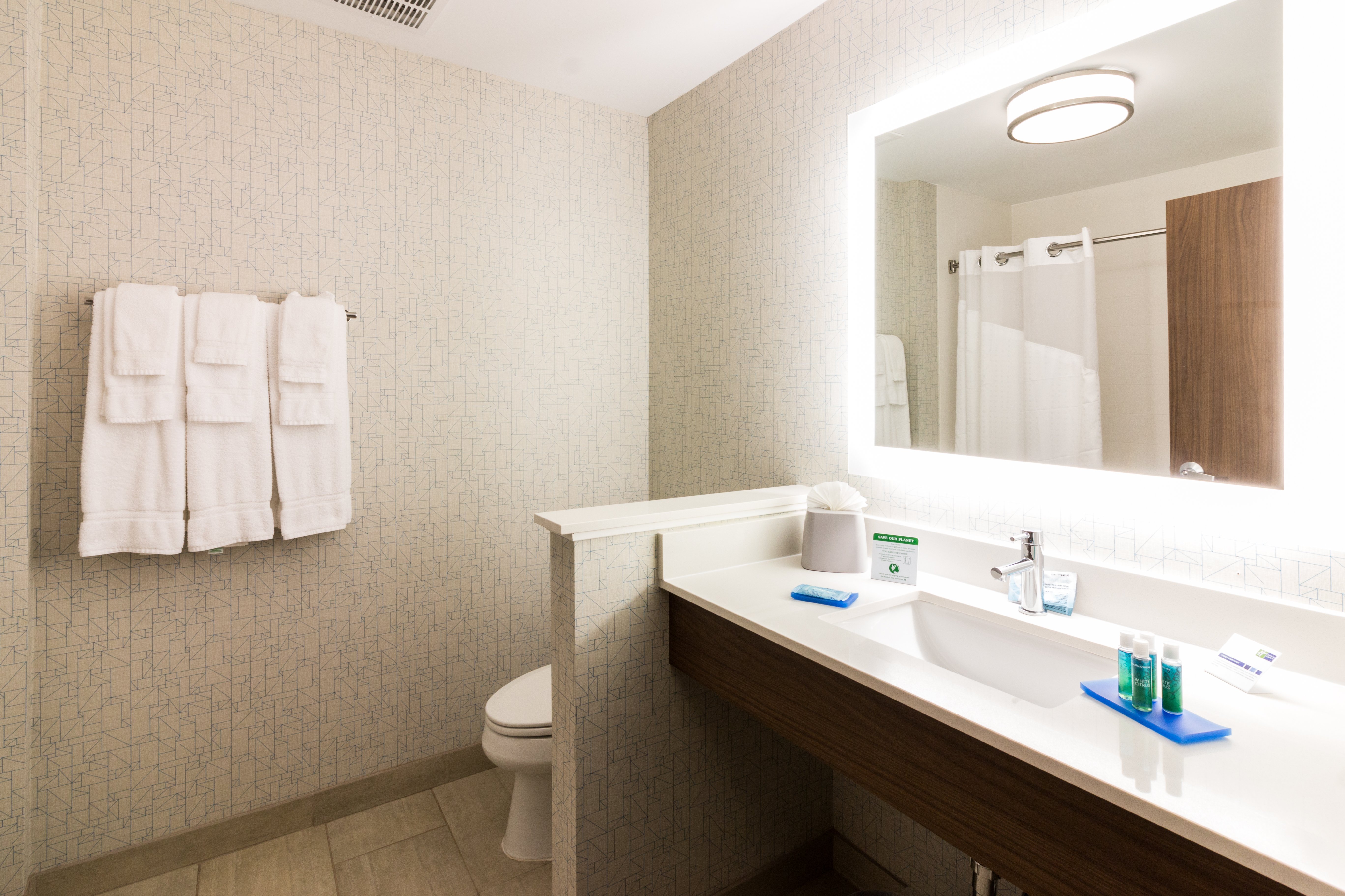 HOLIDAY INN EXPRESS VILLA RICA 36/38