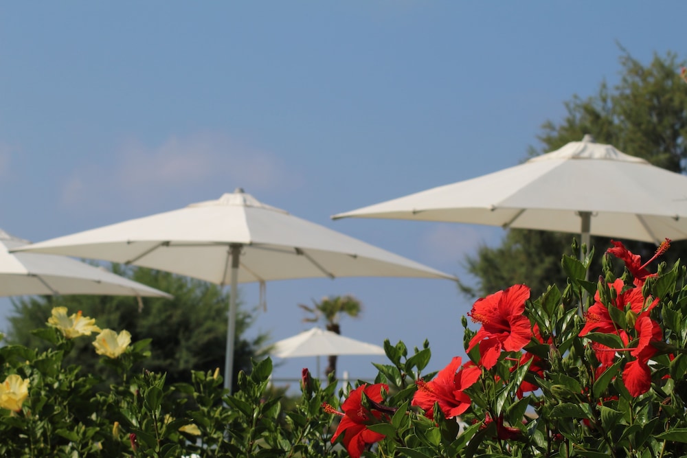 BV Kalafiorita Resort in CALABRIA