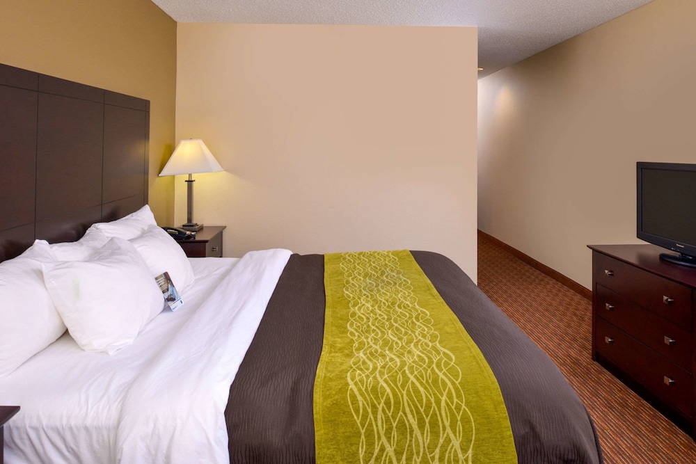Holiday Inn Express And Suites Joplin Southeast by IHG 19/58