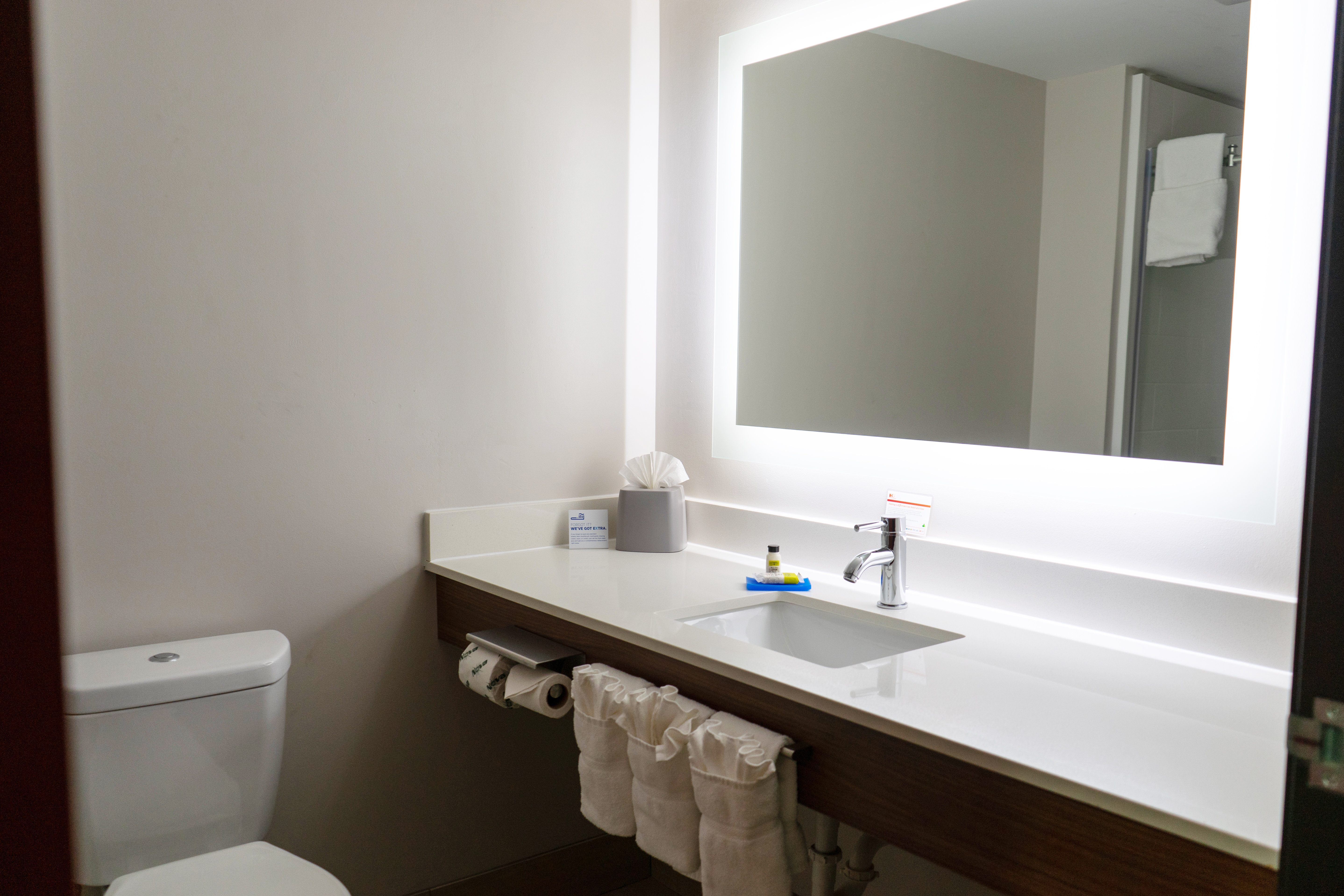 Holiday Inn Express Suites Roanoke Rapids Se 70/72