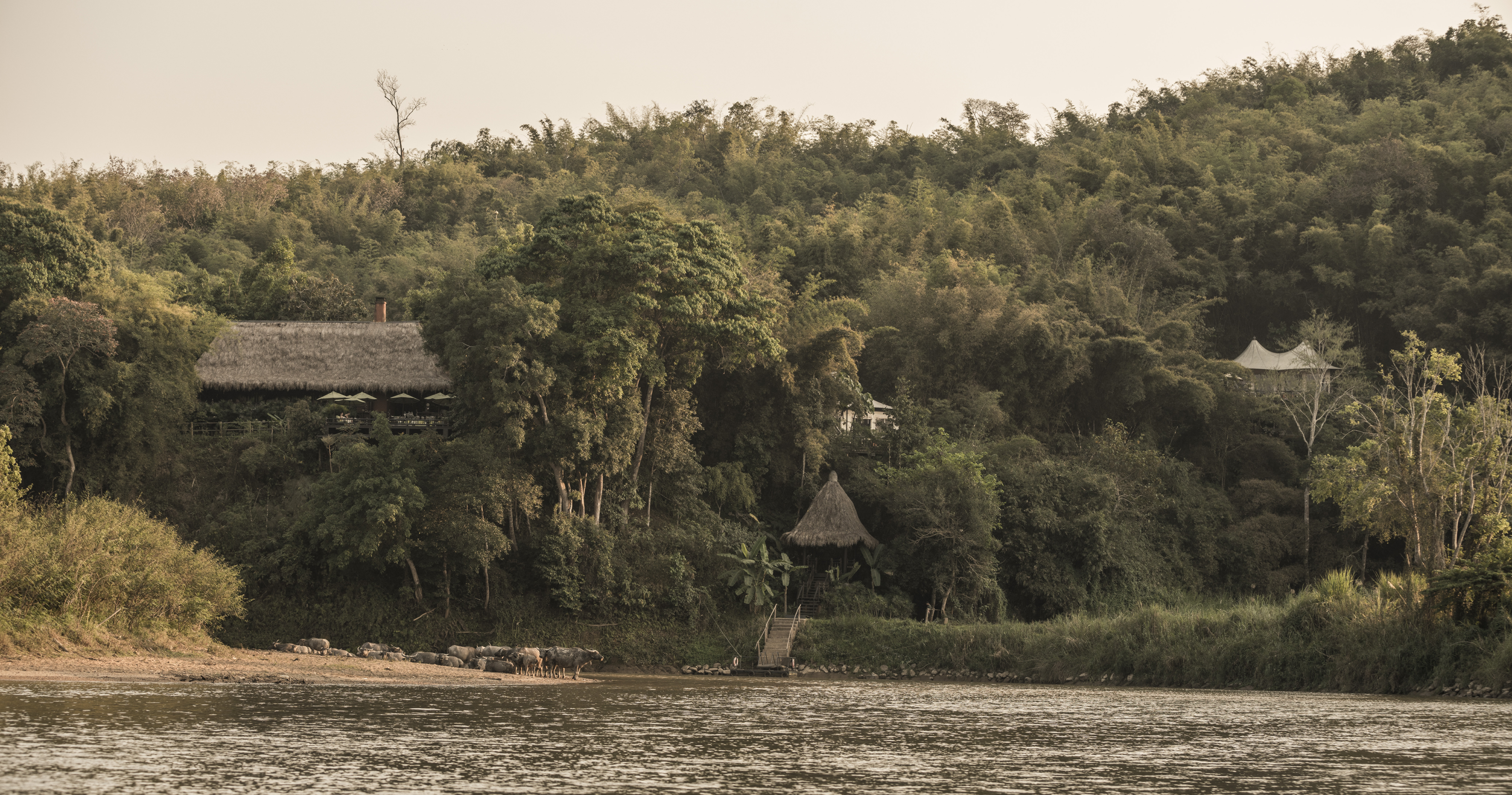 Four Seasons Tented Camp Golden Triangle, Thailand 41/50