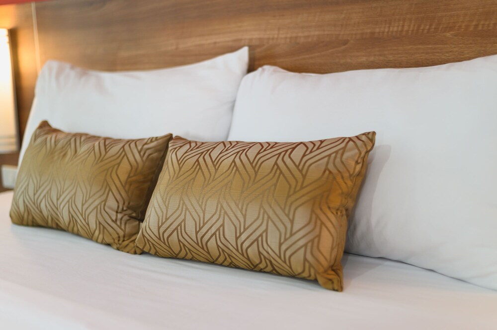 Eco Inn Prime Trang photo2