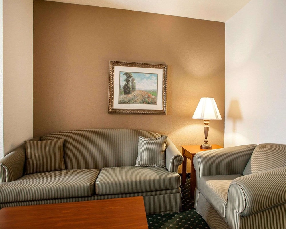 Comfort Inn and Suites Davenport Quad Cities 31/41