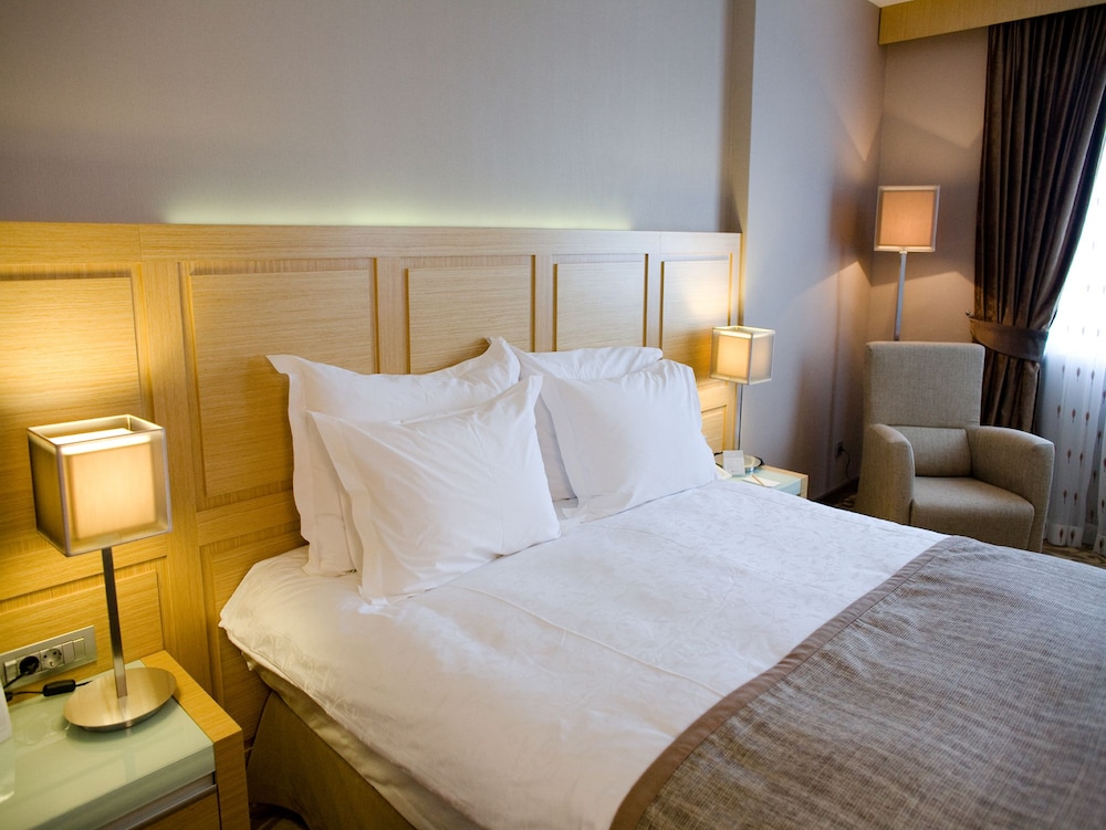 Bilkent Hotel And Conference Center Ankara 22/63