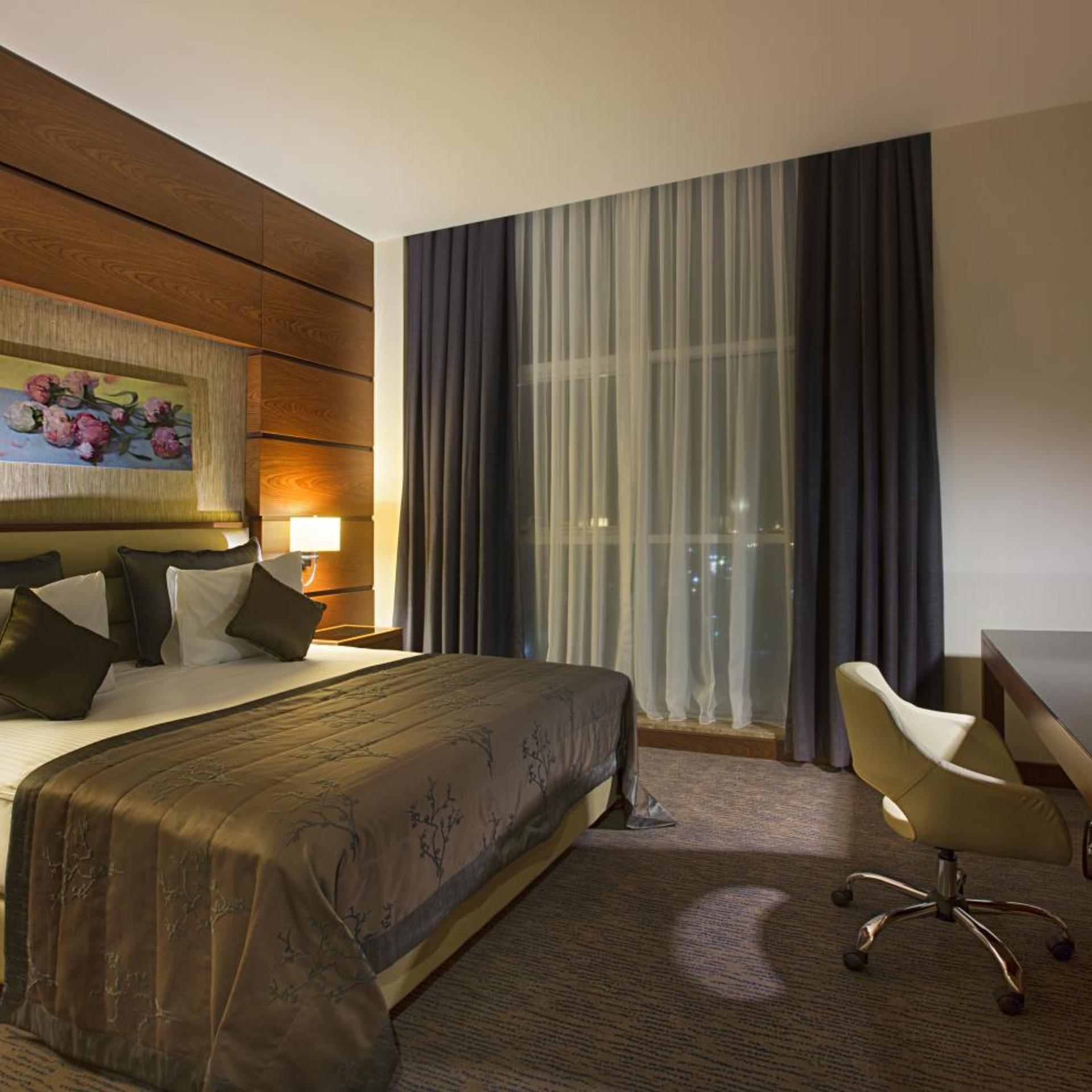 Dedeman Erbil Hotel 16/64