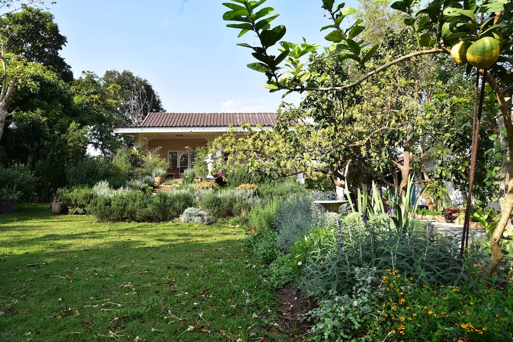 Rosemary House 39/50