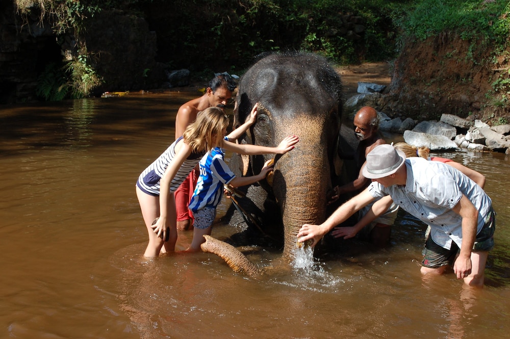 Mannaas Veedu Retreat And Spa 40/42