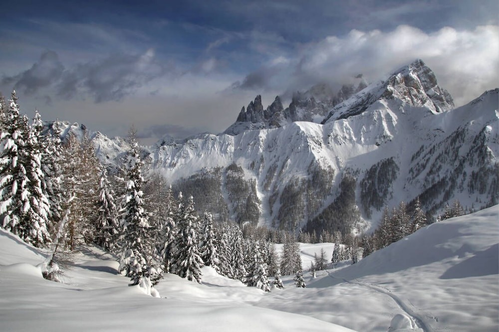 Hotel Stella Alpina 38/39