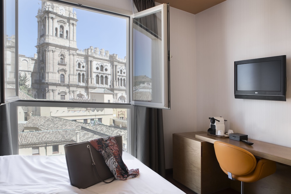 Petit Palace Plaza Malaga 32/44