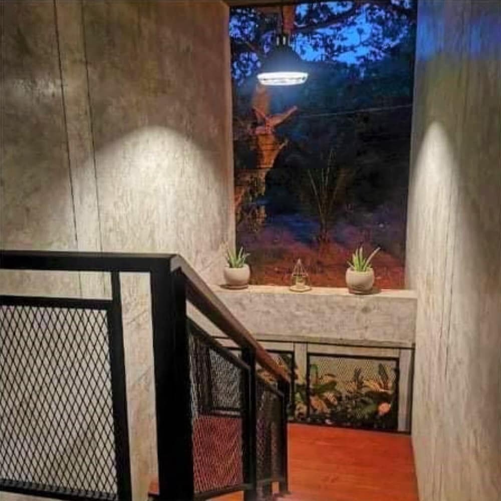 Busaba House 11/38