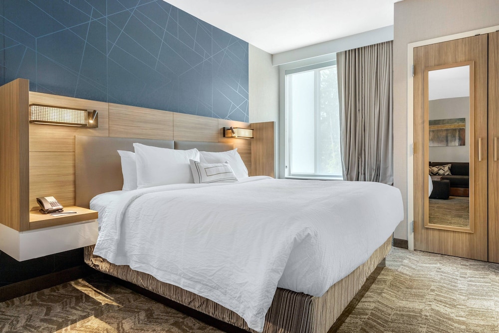 SUITE, KING BED, ACCESSIBLE