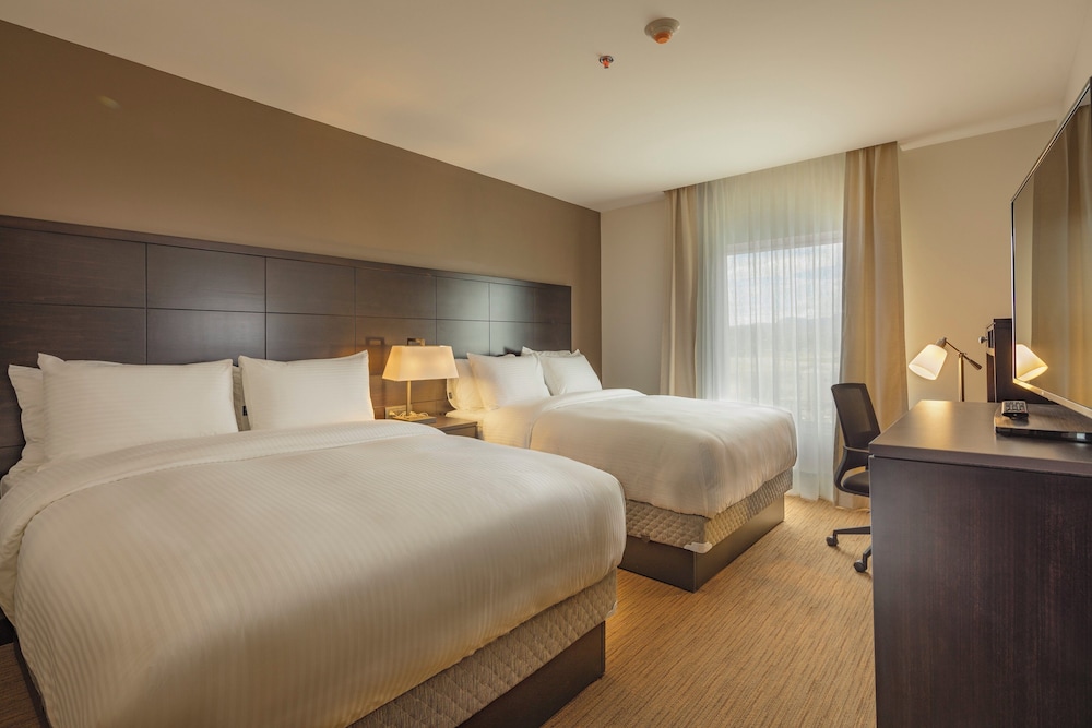 1 Bedroom, Suite, 2 Queen Beds, Kitchen