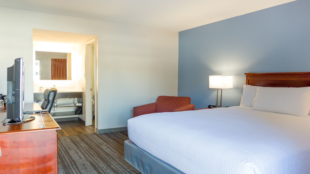 Hotel South Tampa and Suites 22/35