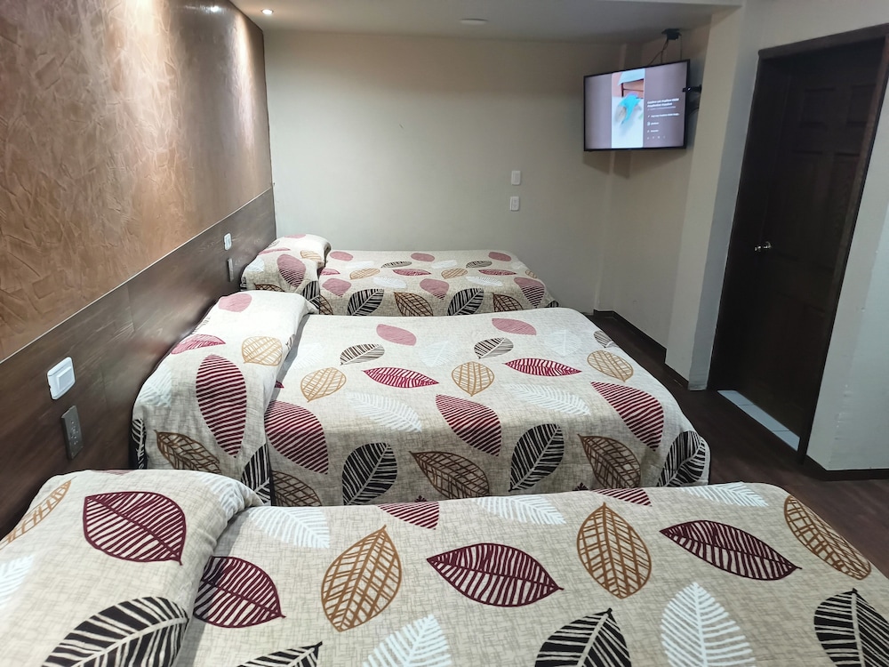 Hotel Baeza 29/50