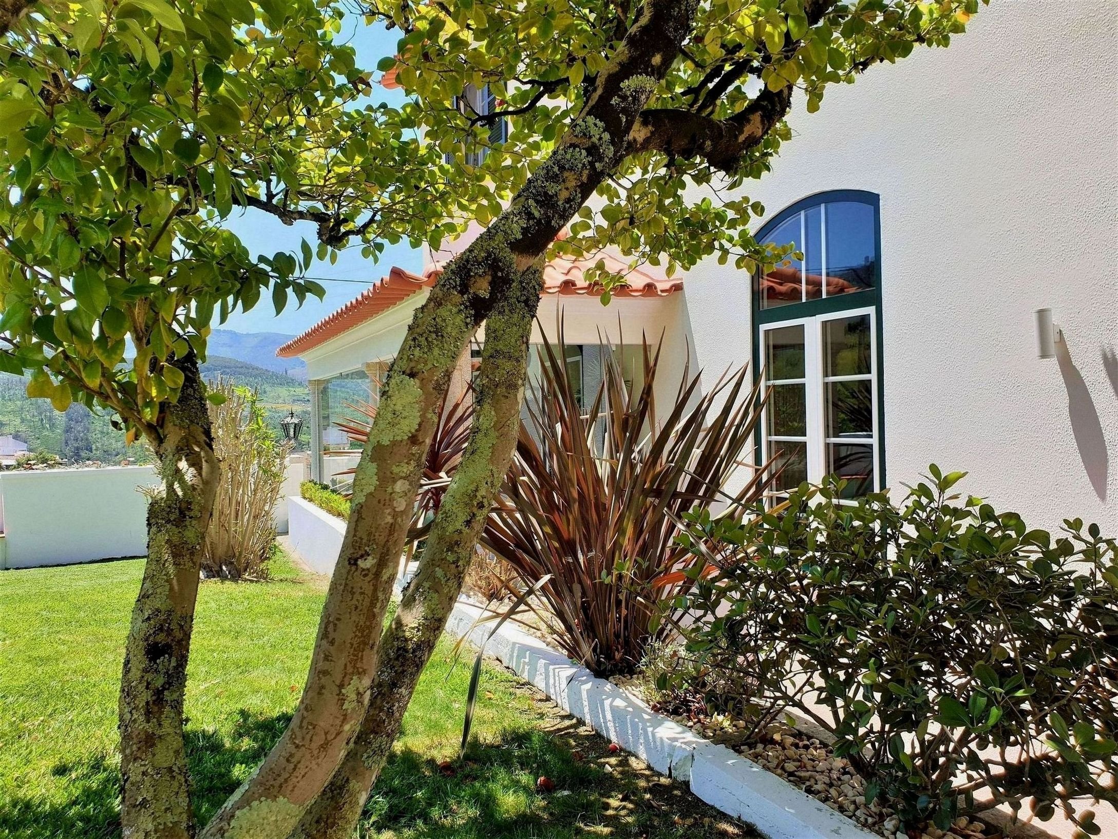Quinta Da Palmeira Country House Retreat 45/45