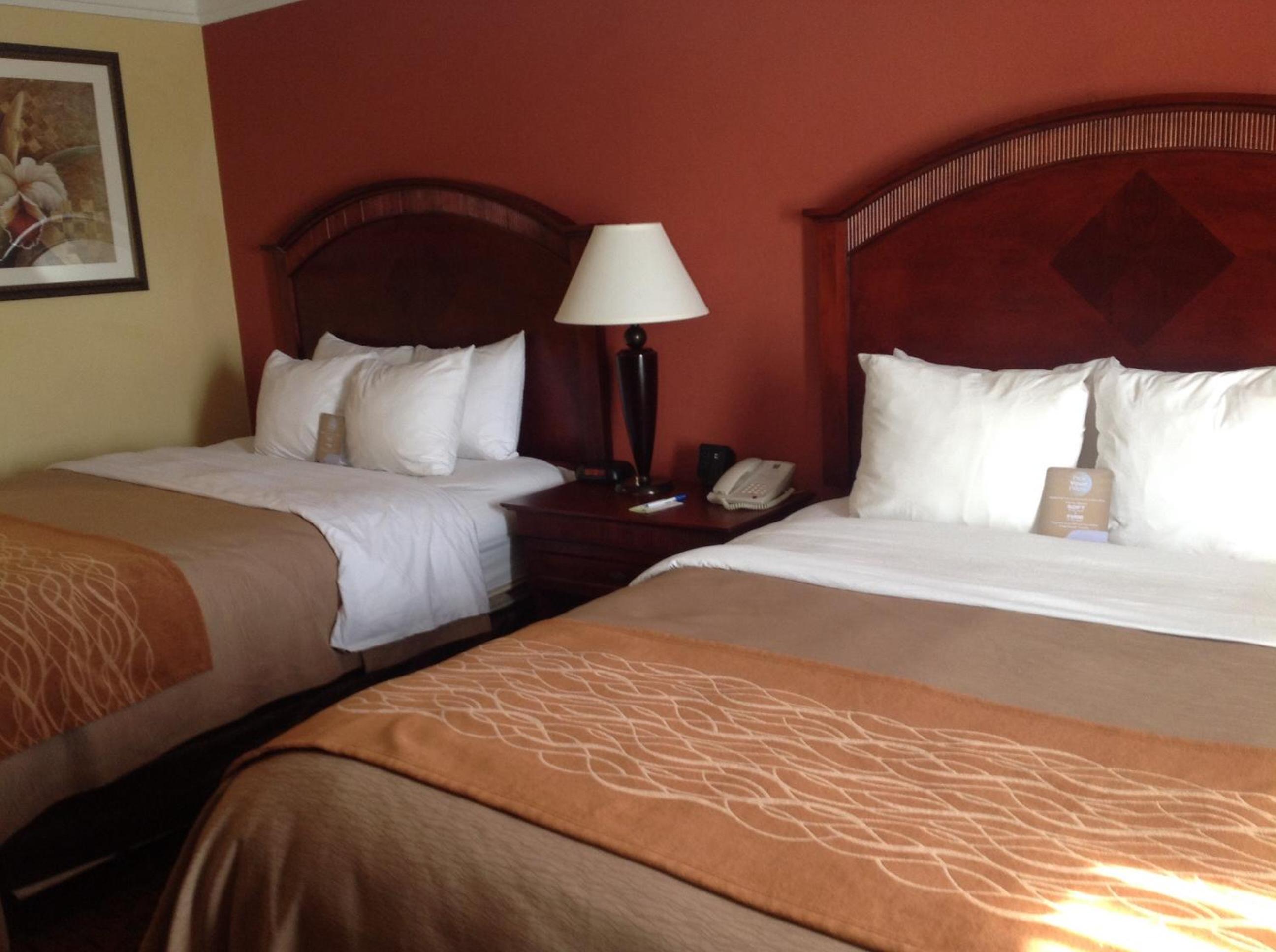 Efficiency, Suite, 2 Queen Beds