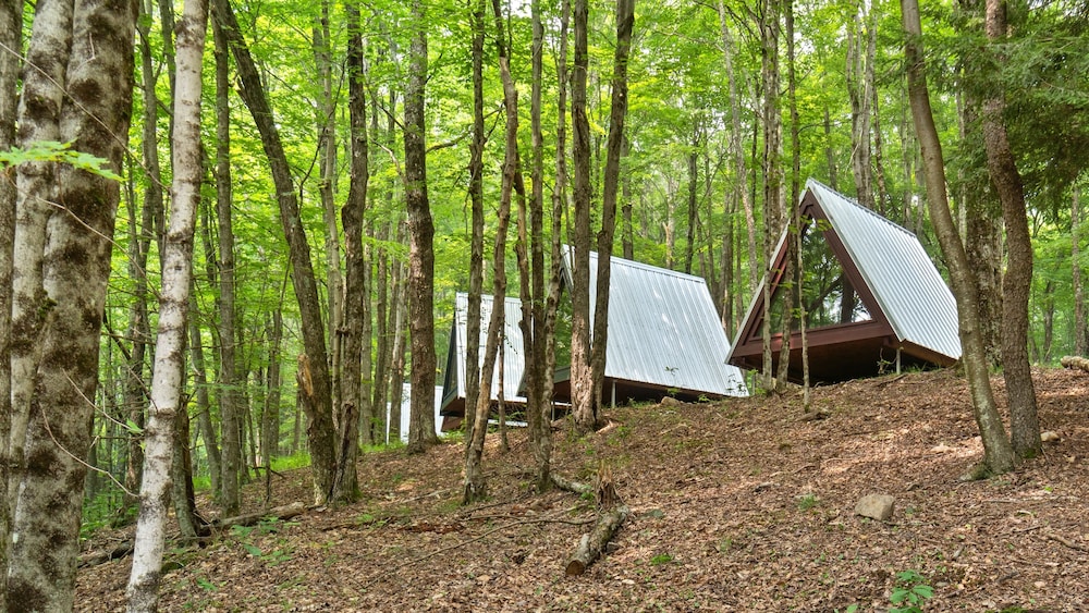 Callicoon Hills 22/44