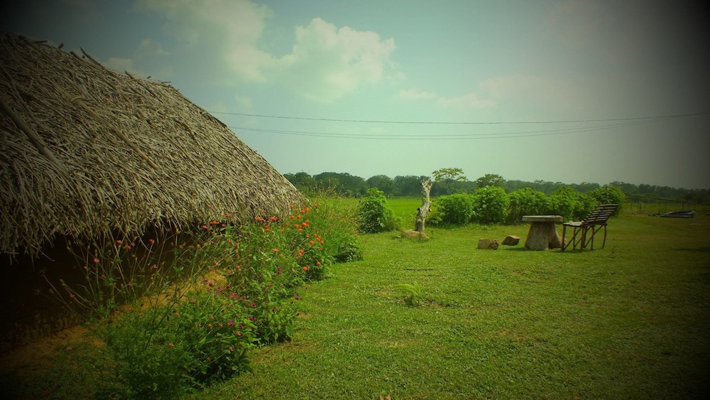 Jungle House Yala 37/50
