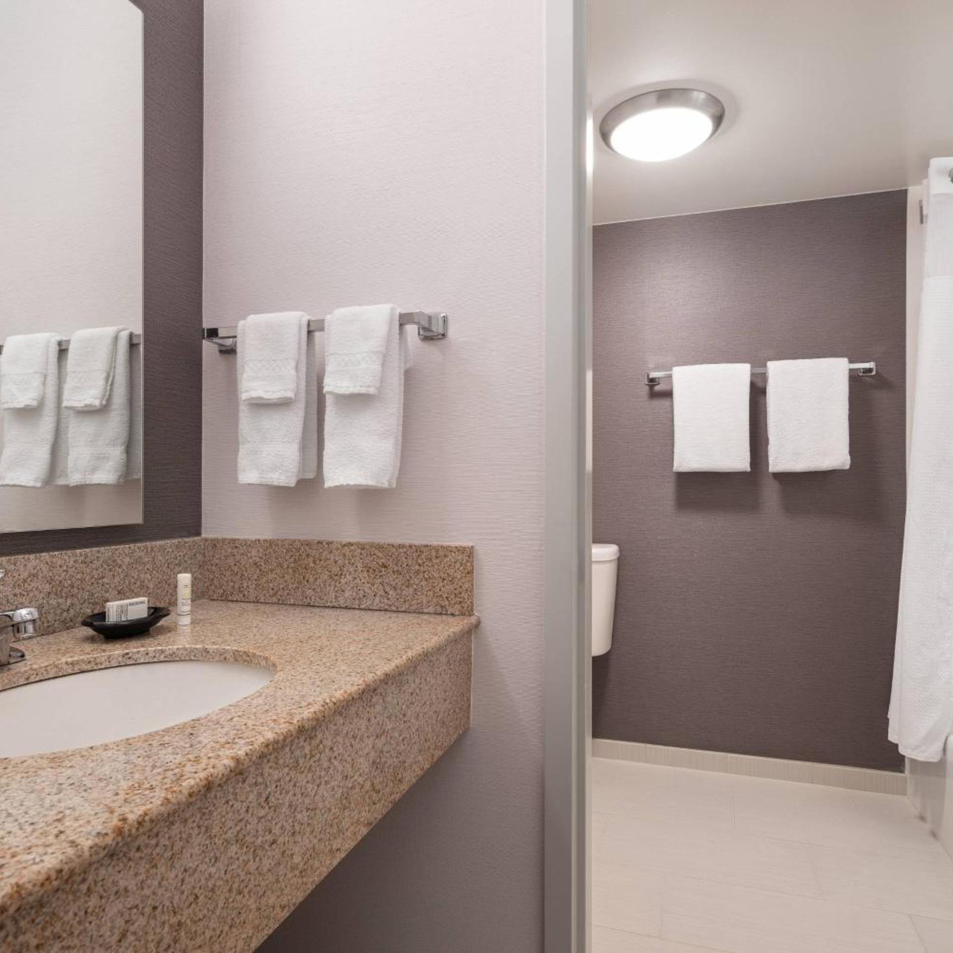 غرفة بسرير كينج مع أريكة بحوض استحمام لذوي الإعاقة، Courtyard by Marriott Rancho Cordova Sacramento 7/10