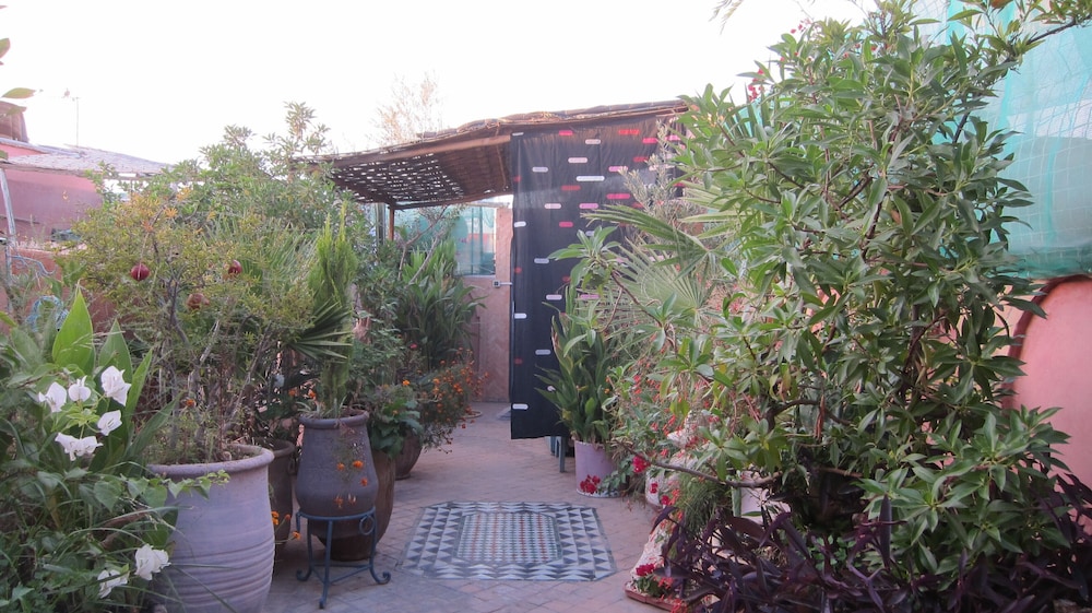 Riad Maizie 6/50
