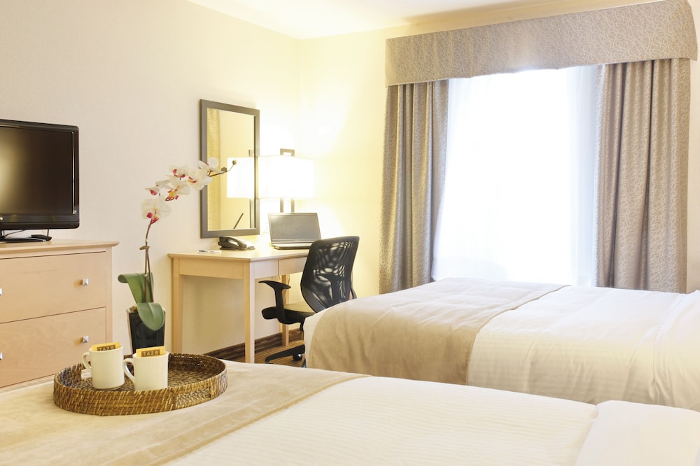 Pomeroy Inn & Suites Vegreville 10/34