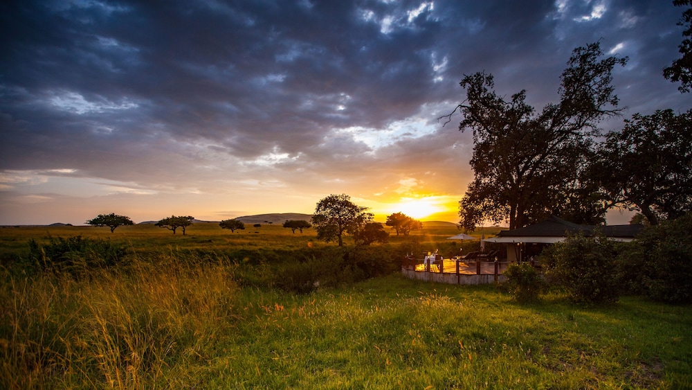Sand River Masai Mara 24/43