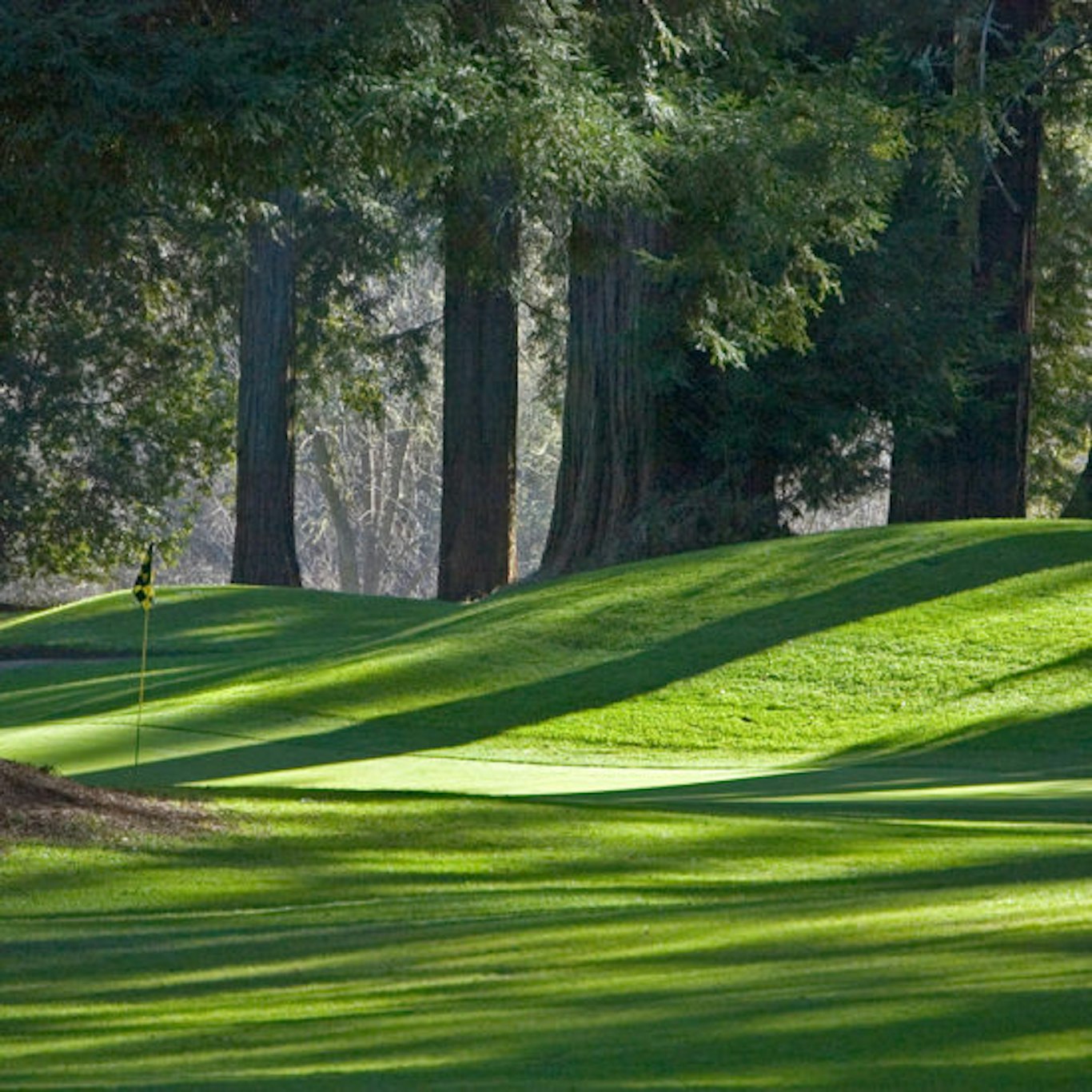 Dawn Ranch 48/51