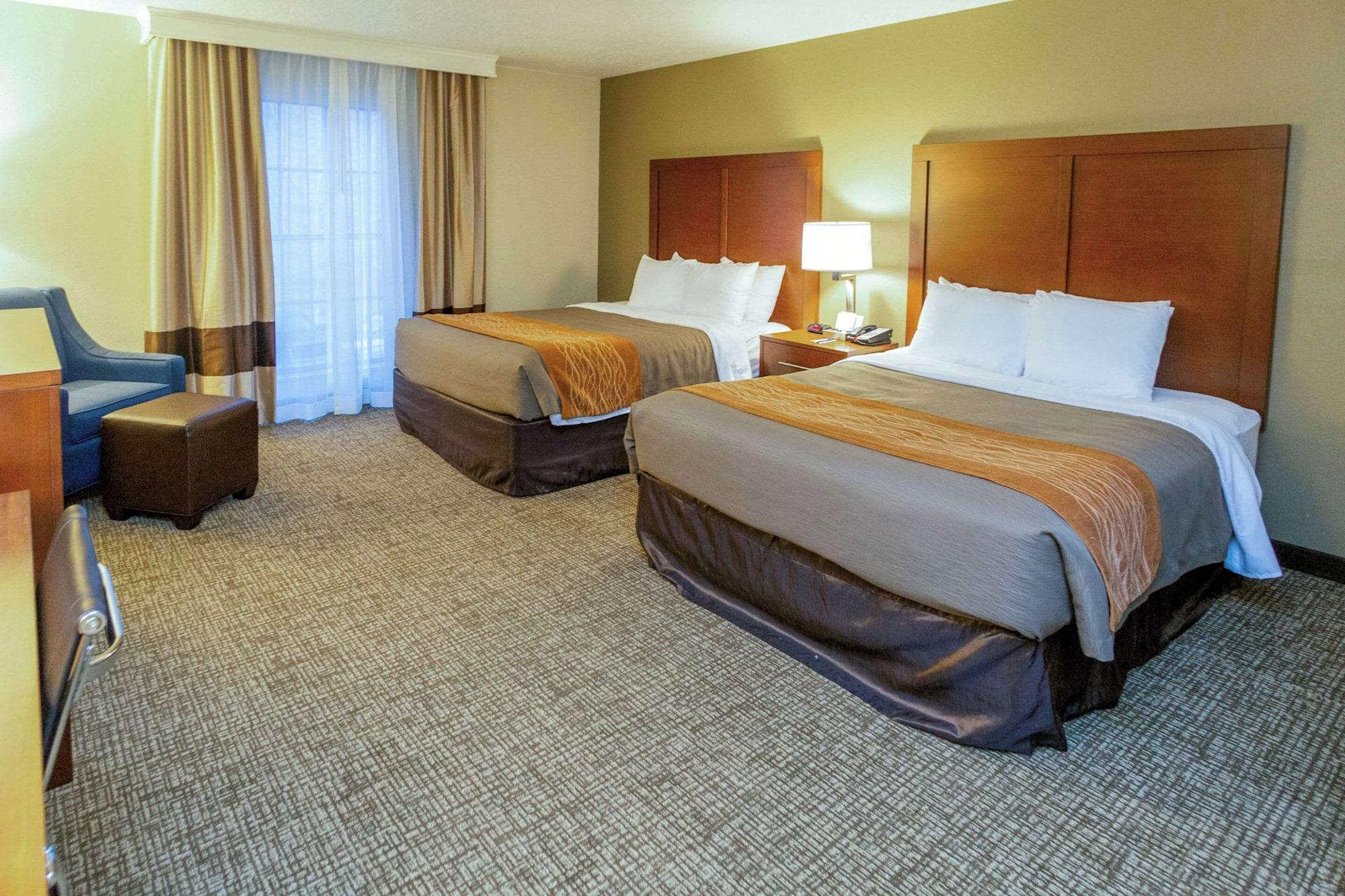 Suite, Multiple Beds
