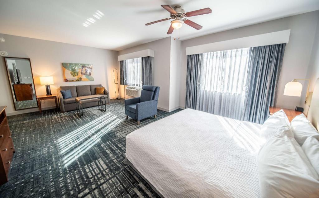 Studio, King Bed, Sofa, Accessible