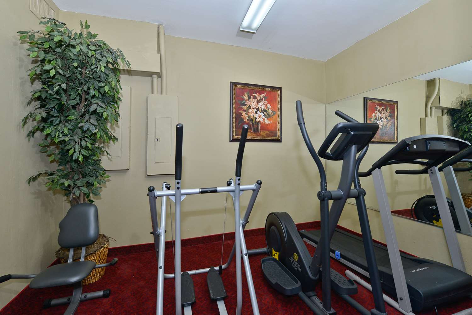 Americas Best Value Inn Suites Haltom City Ft Worth 7/15