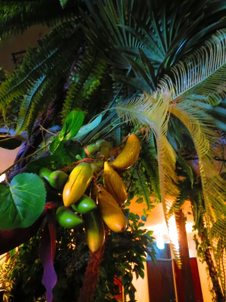 Stella Resort - Hostel 41/49