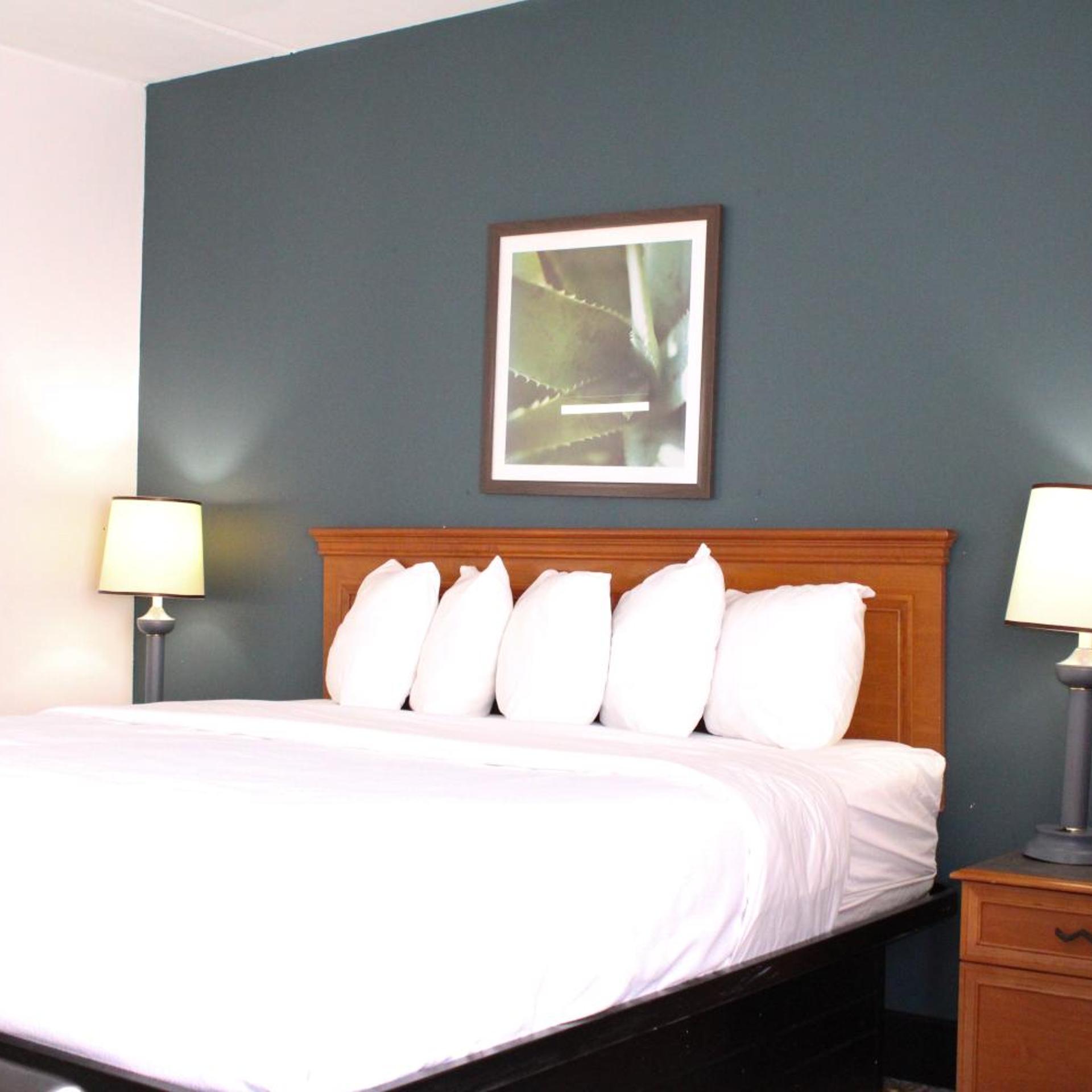 Deluxe, King Bed