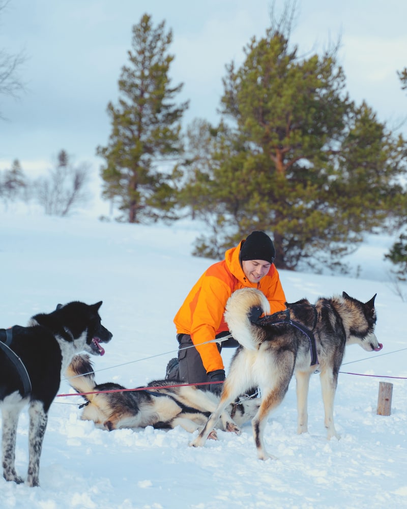 Snowhotel Kirkenes 24/49