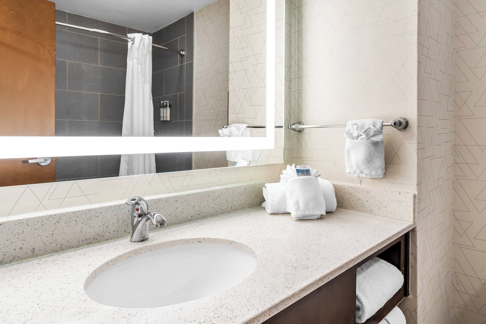 Holiday Inn Express Hotel And Suites Albany 66/67