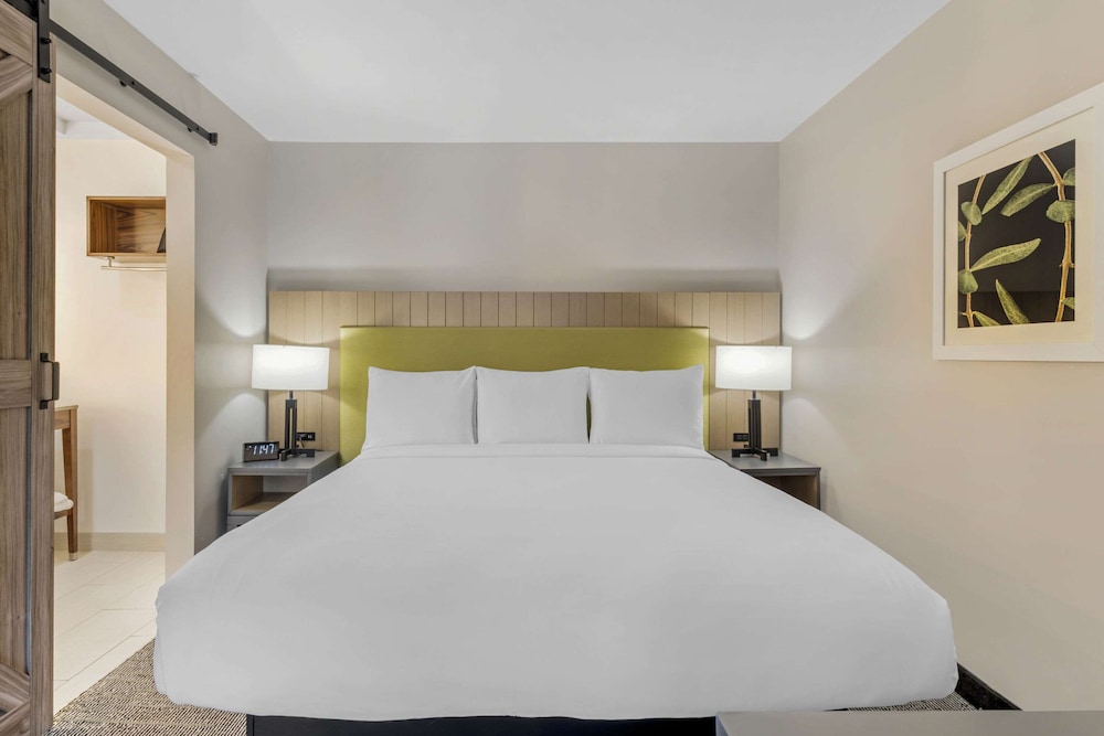 1 Bedroom, Suite, King Bed
