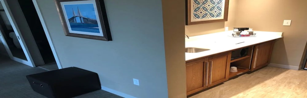 Hampton Inn And Suites Tampa Busch Gardens Area 13/46