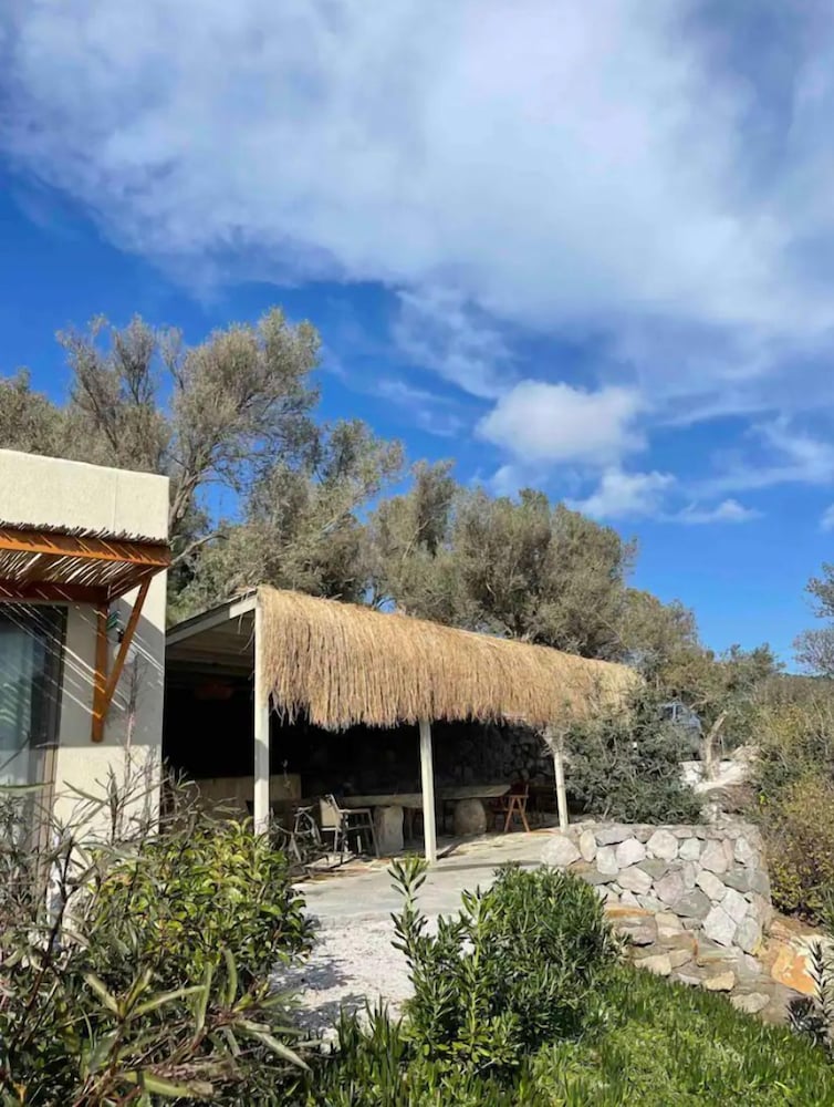 SouthSide Bodrum 41/50