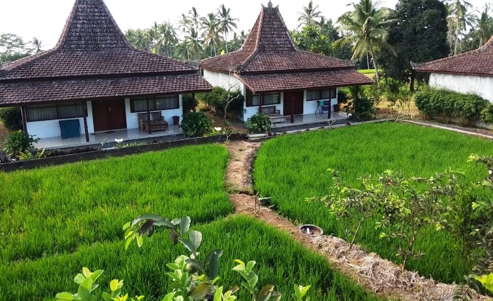 Kampoeng Joglo Ijen Banyuwangi 8/46