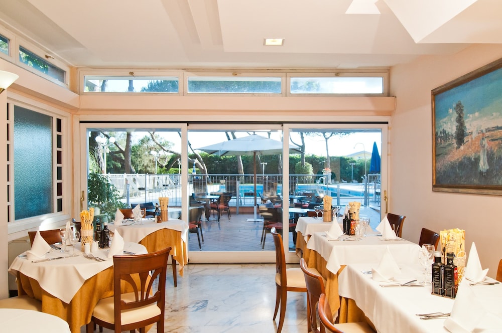 Versilia Palace Hotel 31/44