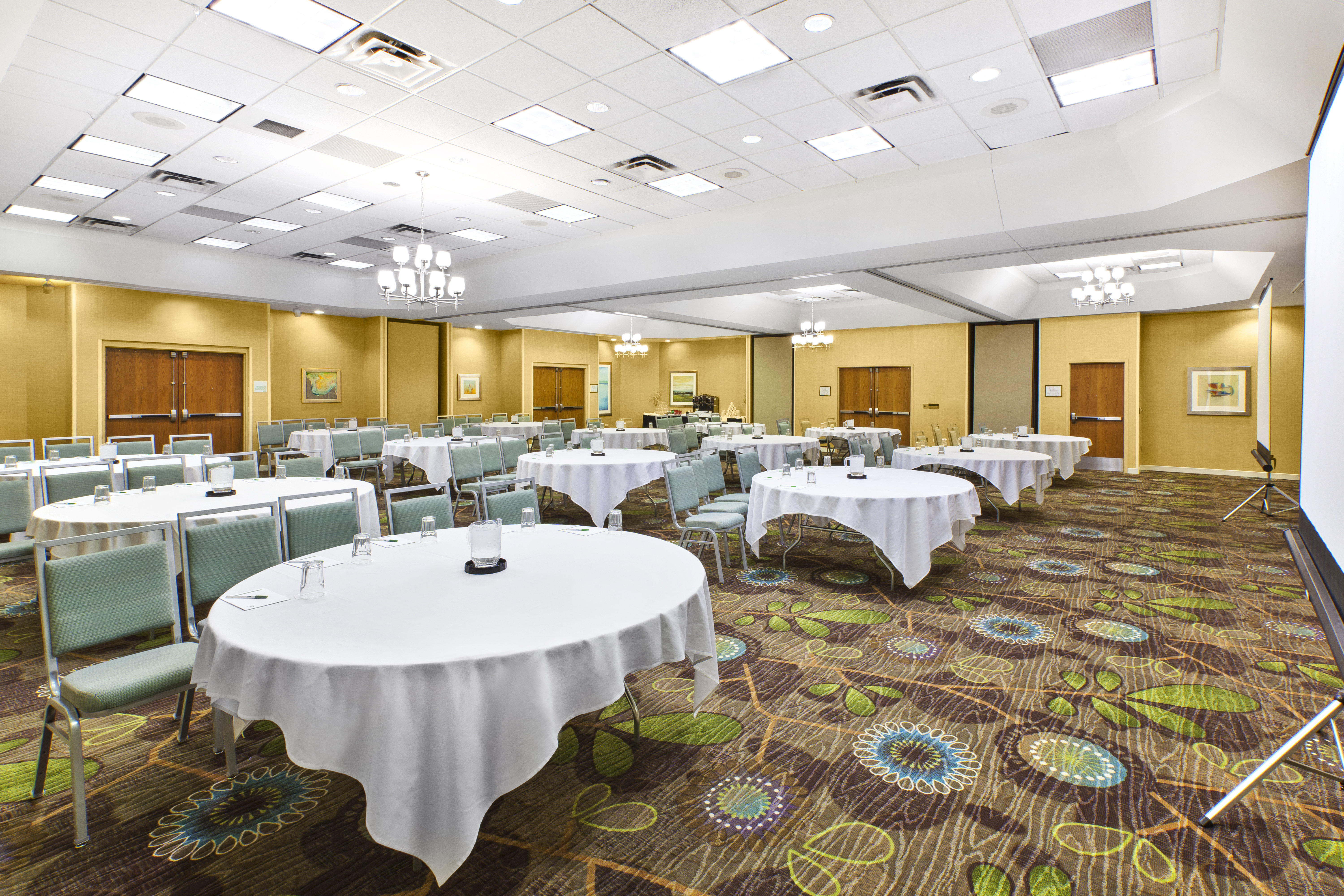 Holiday Inn Hotel Suites Bolingbrook 62/66