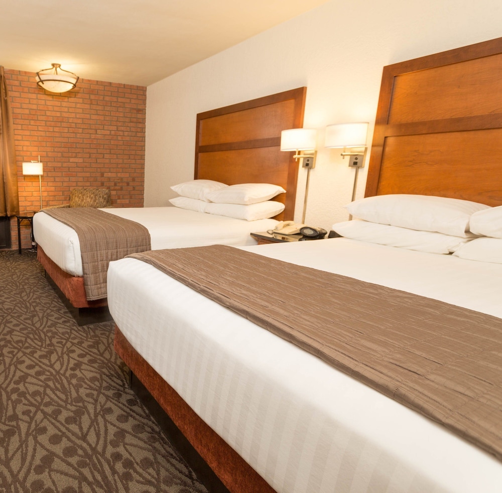 Drury Inn and Suites Frankenmuth 3/28